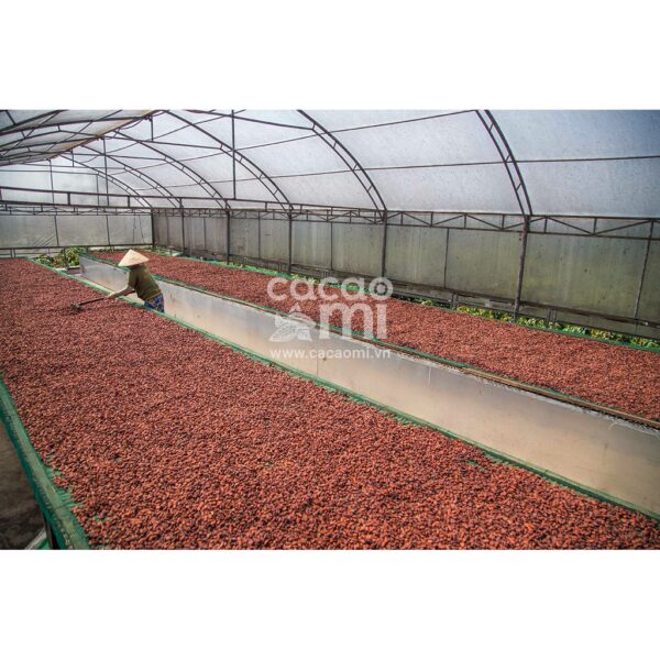 Bột cacao nguyên chất không đường CACAOMI Premium gu đậm ca cao socola chuẩn xuất khẩu 80g/250g/500g - Hình ảnh 4